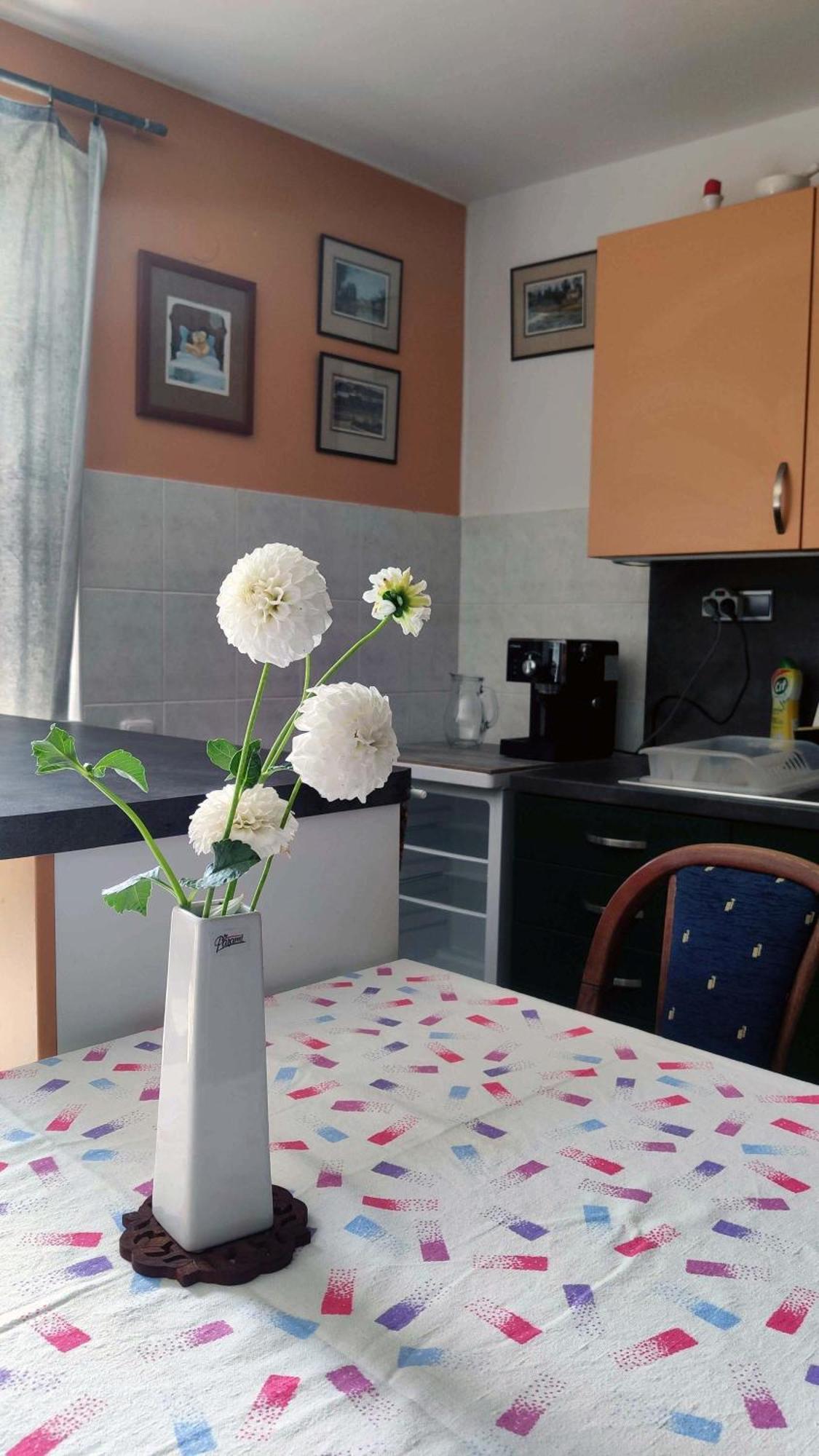 Apartmán Úlehla Zlín Kültér fotó